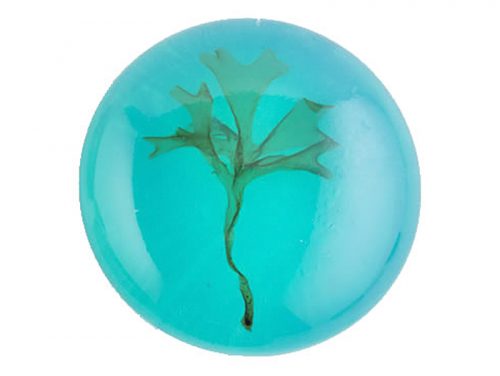 savon rond bleu transparent algues santemer